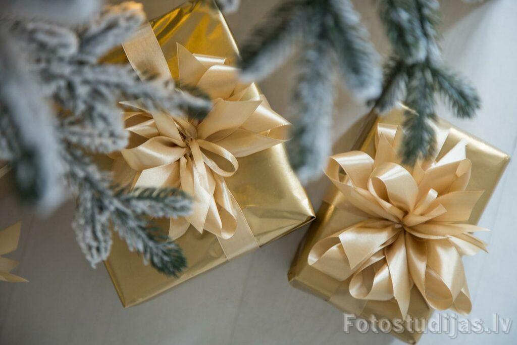 Аренда фотостудии в Риге- Студия 2 с циклорамой #6